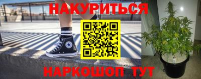 мяу мяу мука Будённовск